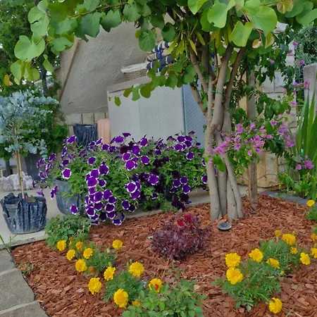 Mihael And Melani * 포레치