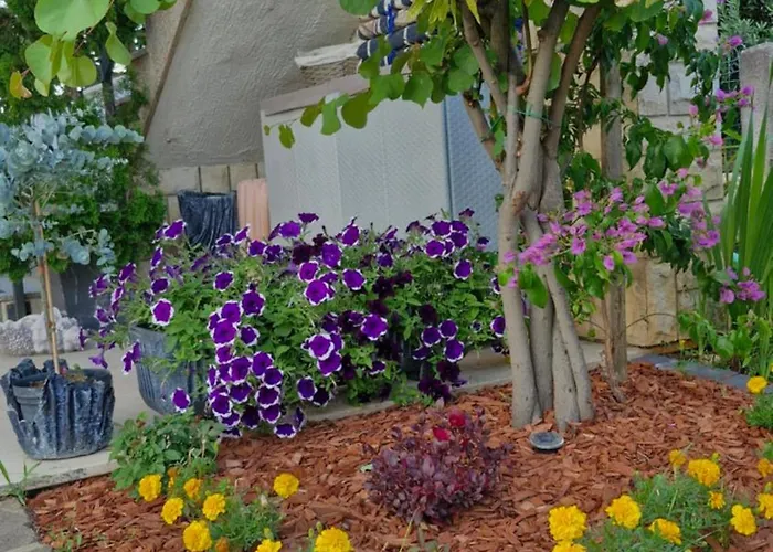 Mihael And Melani * Poreč