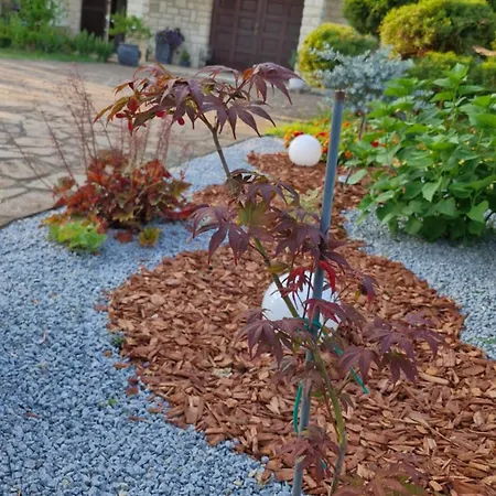 Mihael And Melani Appartement