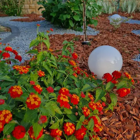 Mihael And Melani Apartment