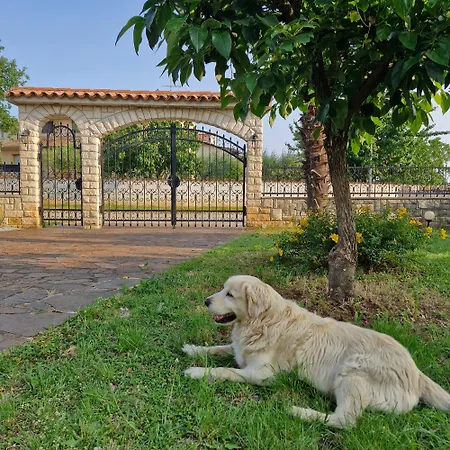 Apartment Mihael And Melani Porec