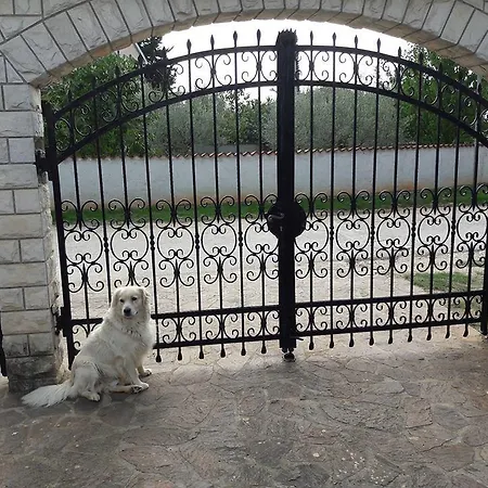 Mihael And Melani Apartment Porec