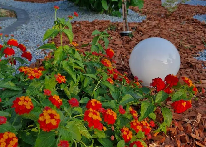 Mihael And Melani Apartman